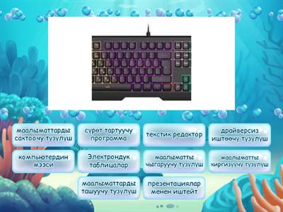 Информатика 