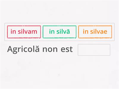 Complemento di stato in luogo