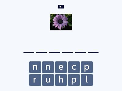 Listening/ Writing.  Spell