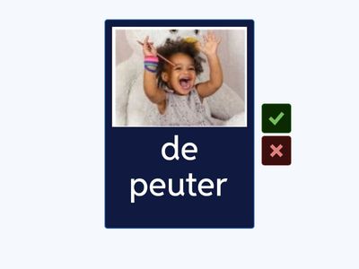 de voortplanting NT2 | levensfases | flashcards