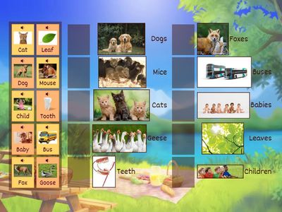 Plural Forms Matching