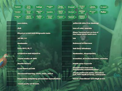 Health assessment findings