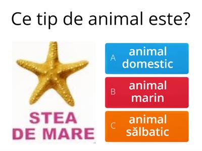 Animale domestice, sălbatice sau marine - clasificare