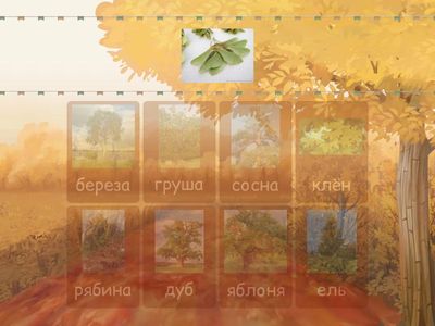 Деревья (листья/плоды)