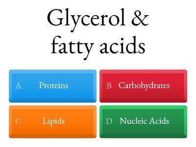 Biomolecules Quiz