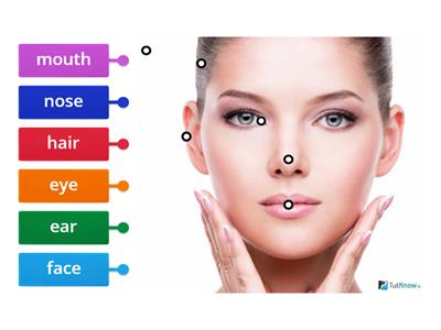  Face- Wider World Starter