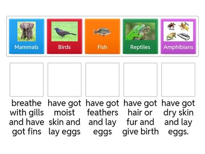 Animal classification - characteristics