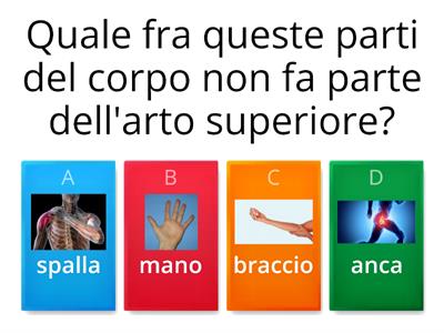 Quiz "La rappresentazione cognitiva dei singoli segmenti corporei"