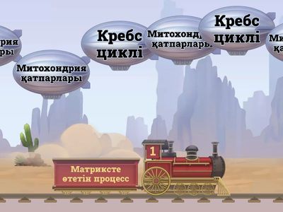 Уй тапсырма митохондрия 10 КГБ