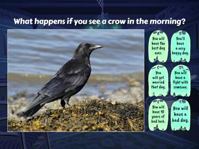 Superstitions (Quiz)