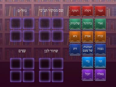 מה הקשר שכבת יא