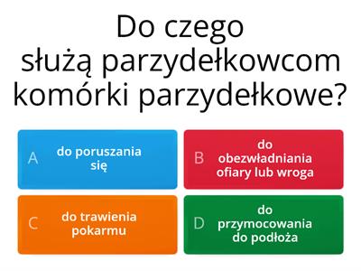 Od parzydełkowców do pierścienic - powtórka 