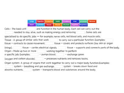 Levels of organisation