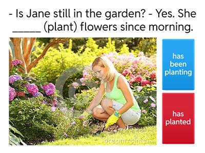 Present Perfect Simple vs Present Perfect Continuous