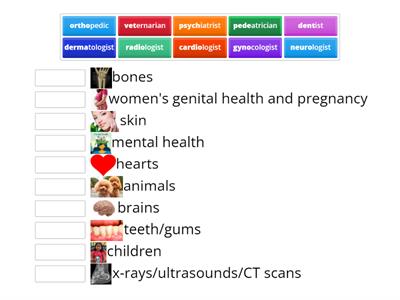 Types of Doctors