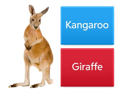 What is this picture?