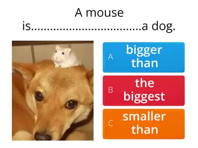 Comparatives and superlatives