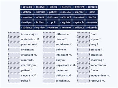 Descriptive adjectives