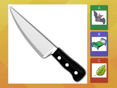 Lesson 23.2 Final Sound Sorting