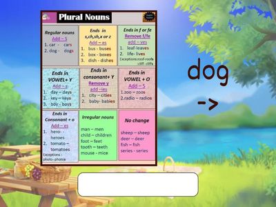 Grammar Plural Nouns -1