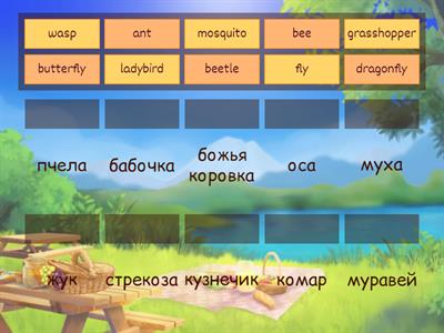 Spotlight 5 Science insects