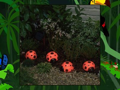 Serbian A1 - Numbers from 1 to 10 FF