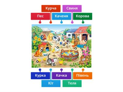 Свійські тварини