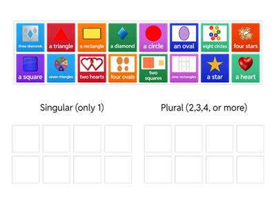 Singular and Plural Noun