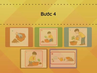 CÁC BƯỚC TRỒNG HOA, CÂY CẢNH TRONG CHẬU