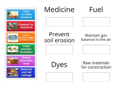 S2 Science Plants in society