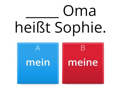 Possessivartikel mein/e, dein/e Schritte 2