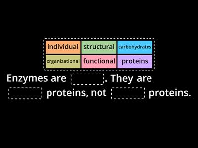 Enzymes H 