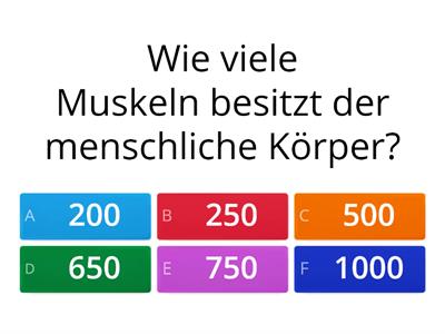 Muskeln