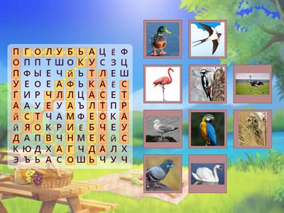 Найди всех птиц