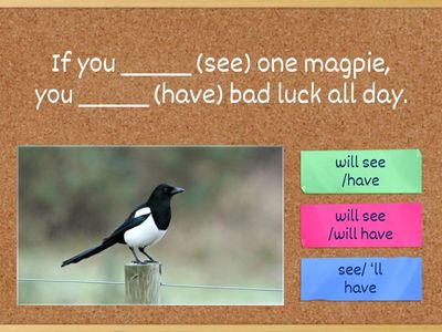 first conditional Quiz