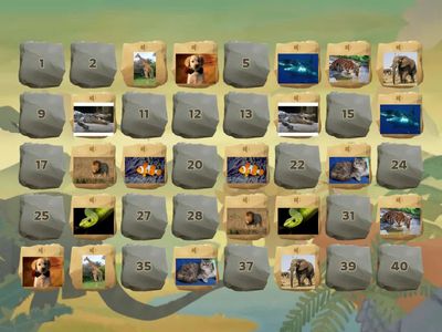 zvířátka - Davídek