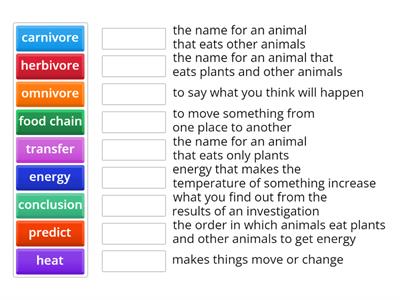 Y4 Energy Vocabulary