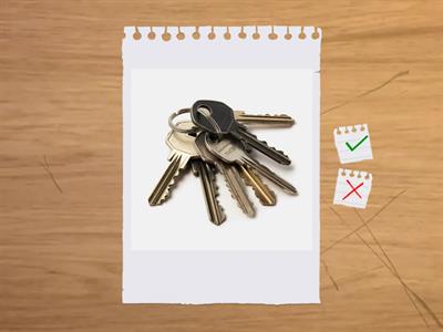 Objects singular / plural 