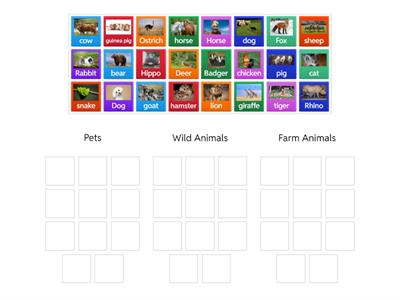 Animals Sort
