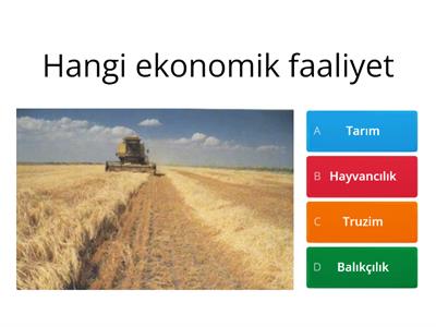 sosyal bilgiler 5. sınıf ekonomik faaliyetler