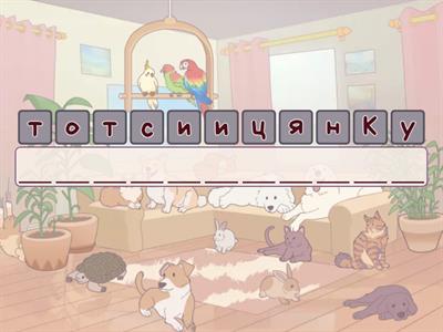 Основы конституционного права