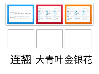 您了解我多少？（药—功效对对碰）
