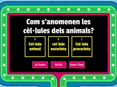 ELS ANIMALS
