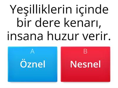 Öznel ve Nesnel Cümleler