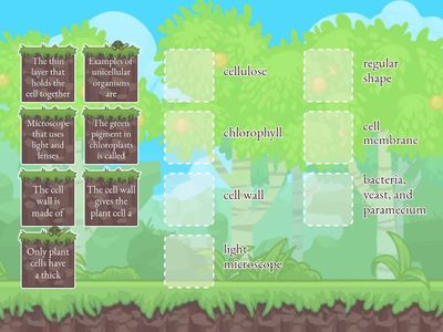 Grade 5 Science - The unit of life