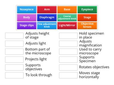 Microscope