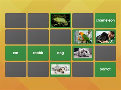 PETS MATCHING GAME