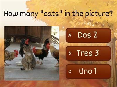 Los numeros 1-10 quiz espanol