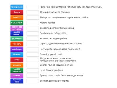 Интересные факты о грибах