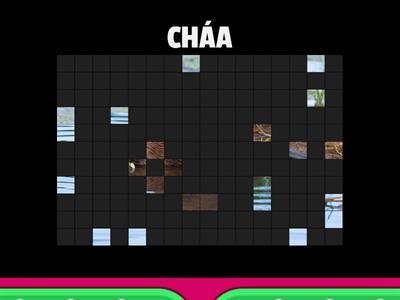 Animals (Middle School)